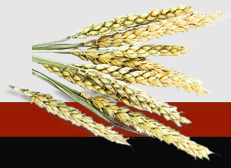 首页|尊龙人生就是博官网入口