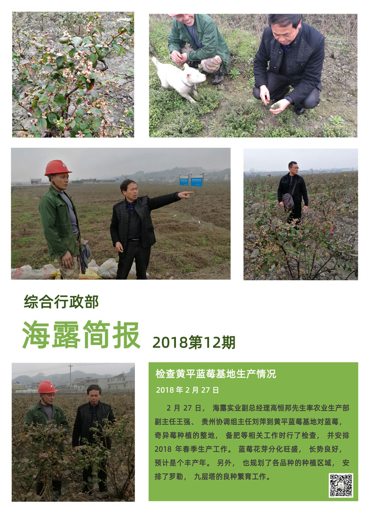 首页|尊龙人生就是博官网入口