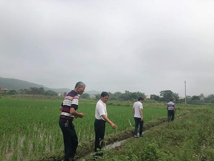 首页|尊龙人生就是博官网入口