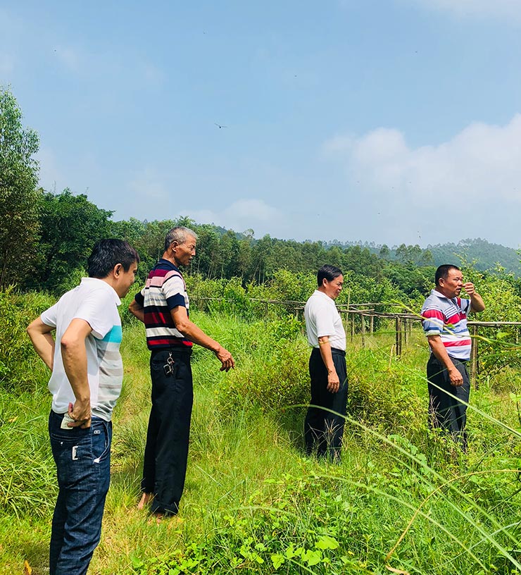 首页|尊龙人生就是博官网入口