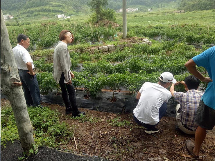首页|尊龙人生就是博官网入口