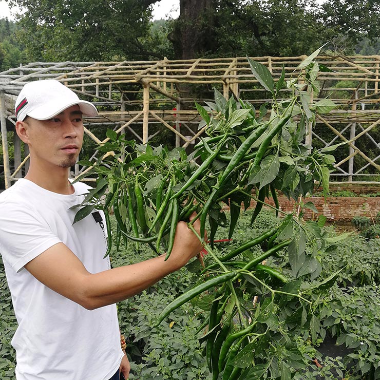 首页|尊龙人生就是博官网入口