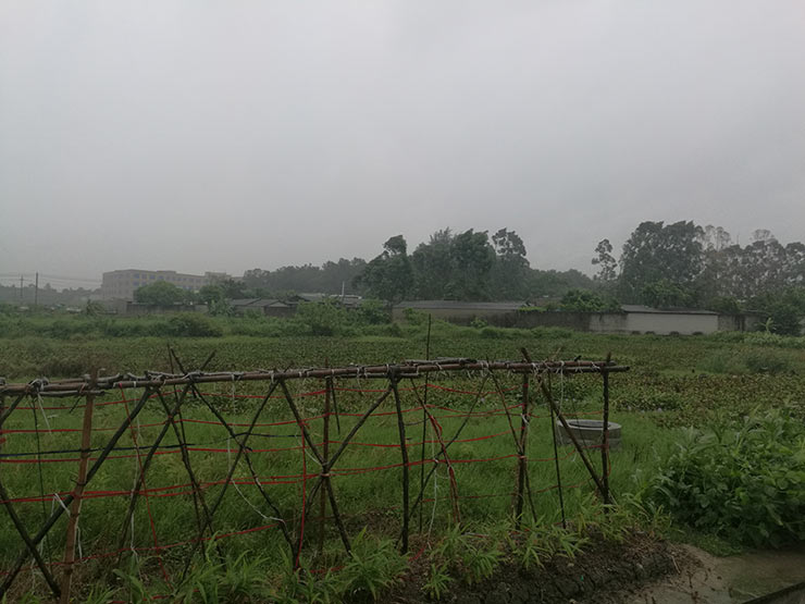 首页|尊龙人生就是博官网入口