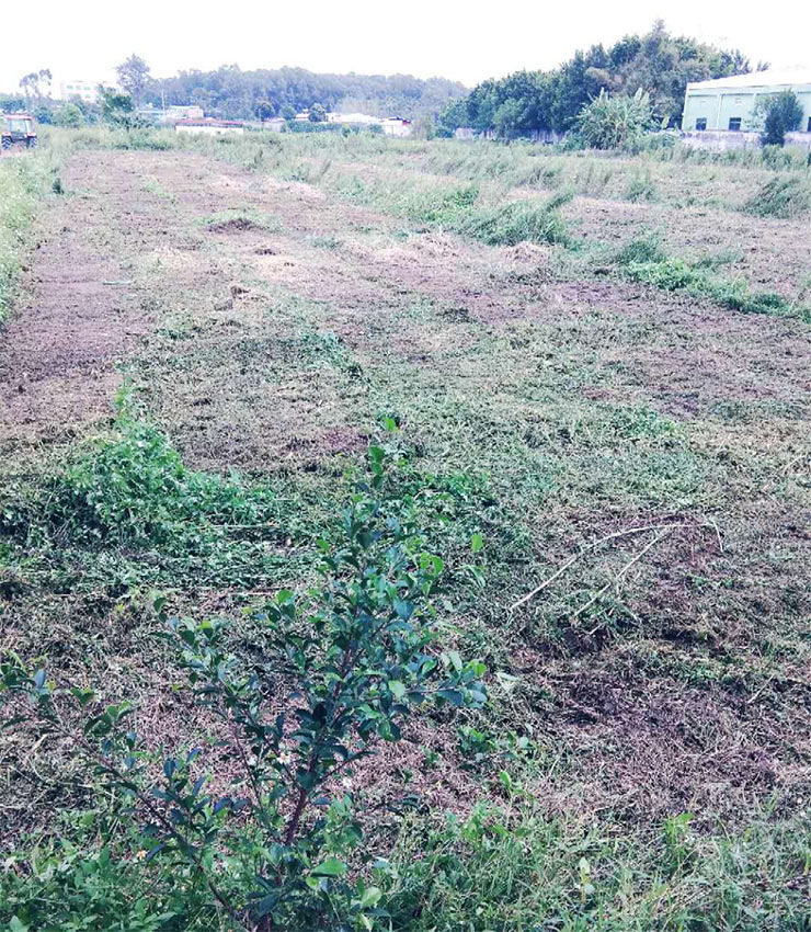 首页|尊龙人生就是博官网入口