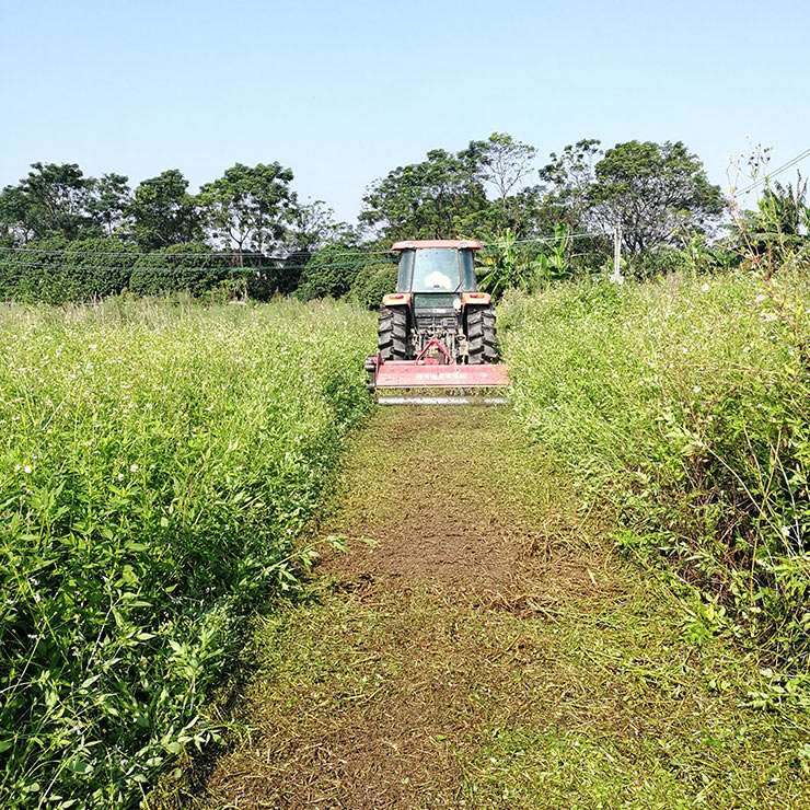 首页|尊龙人生就是博官网入口