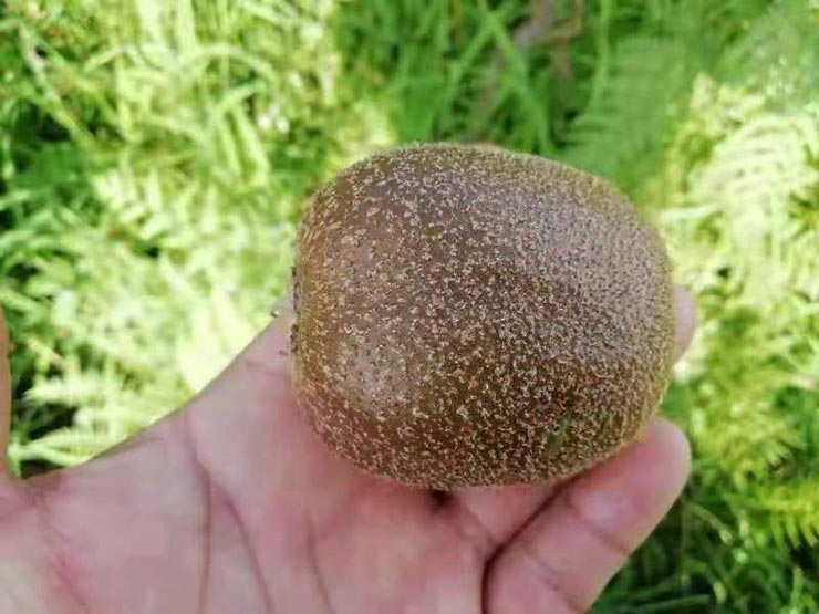 首页|尊龙人生就是博官网入口