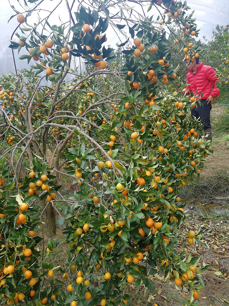 首页|尊龙人生就是博官网入口