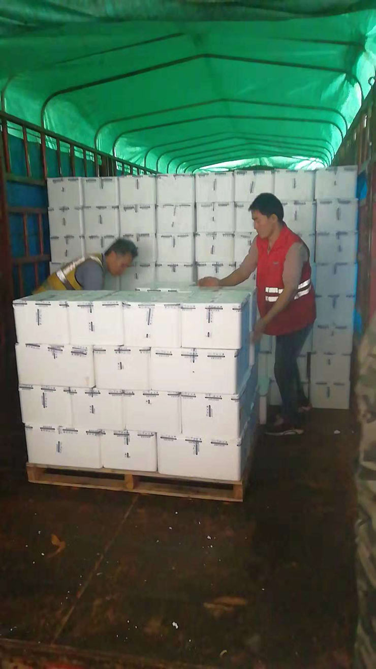 首页|尊龙人生就是博官网入口