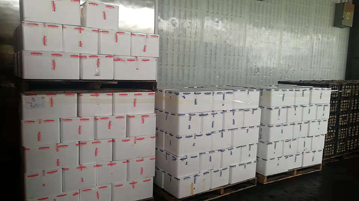 首页|尊龙人生就是博官网入口