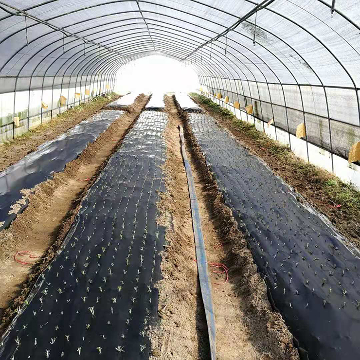 首页|尊龙人生就是博官网入口