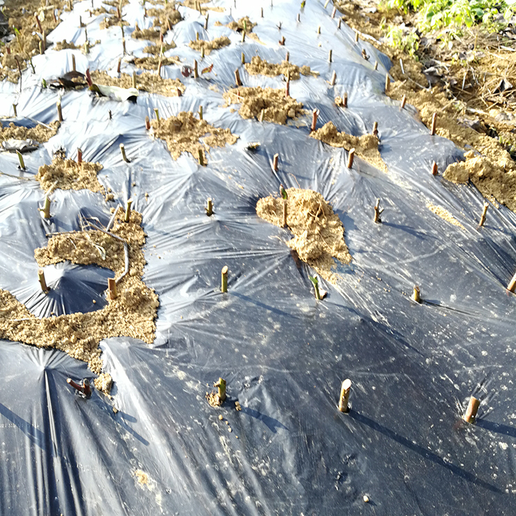 首页|尊龙人生就是博官网入口