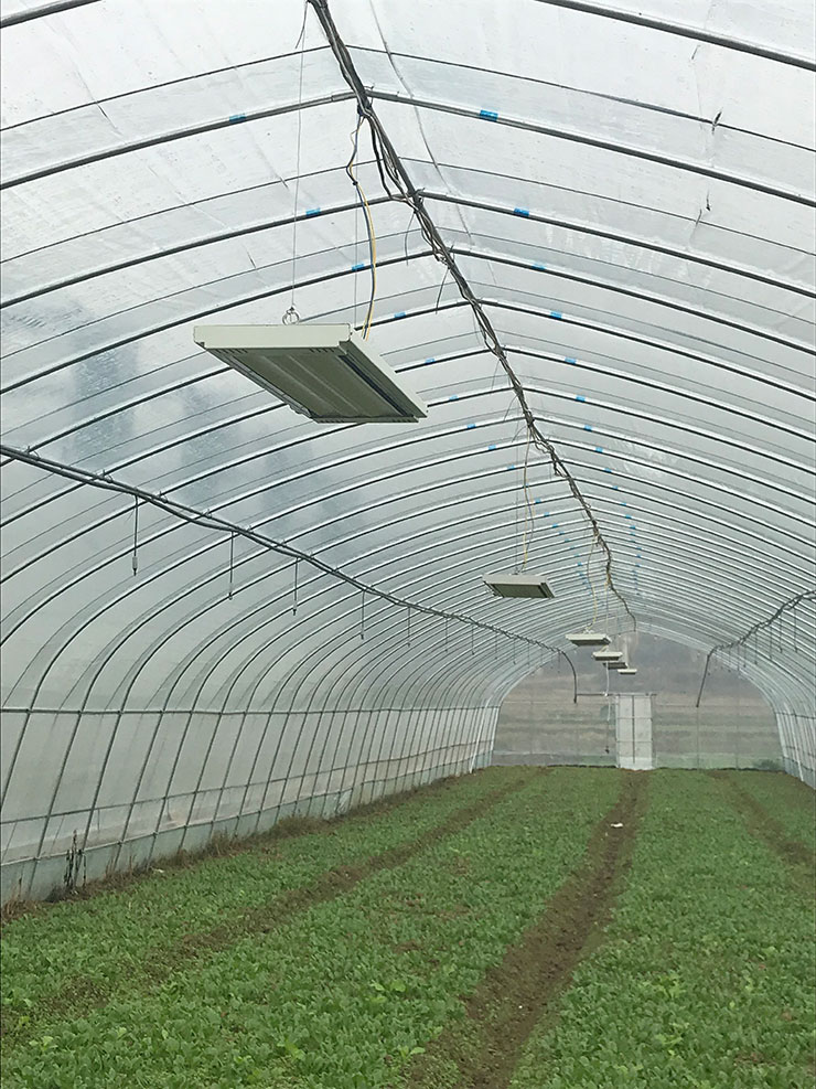 首页|尊龙人生就是博官网入口