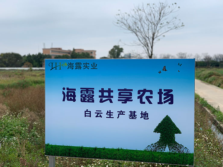 首页|尊龙人生就是博官网入口