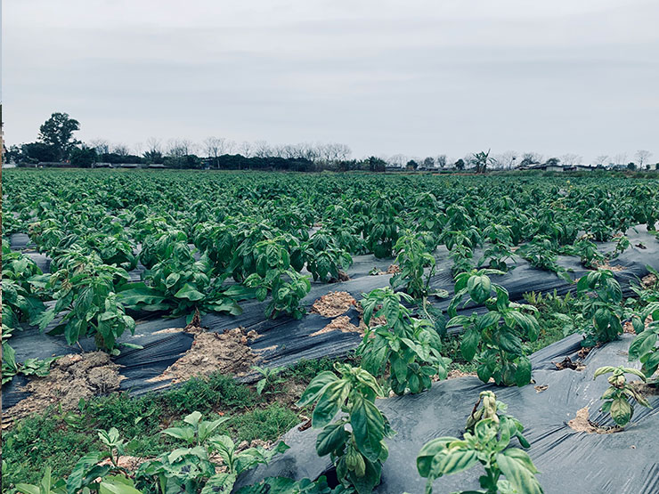 首页|尊龙人生就是博官网入口