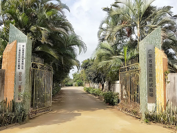 首页|尊龙人生就是博官网入口