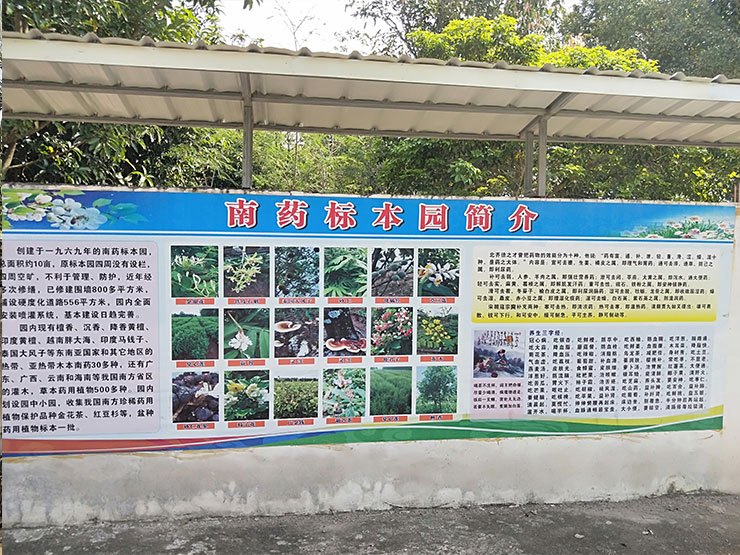 首页|尊龙人生就是博官网入口