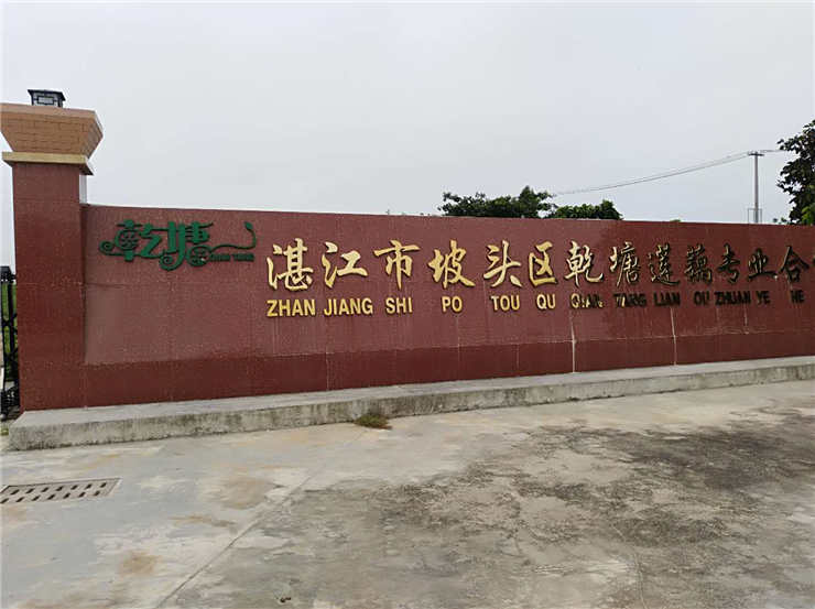 首页|尊龙人生就是博官网入口