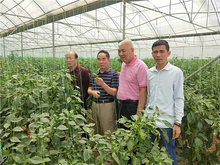 首页|尊龙人生就是博官网入口