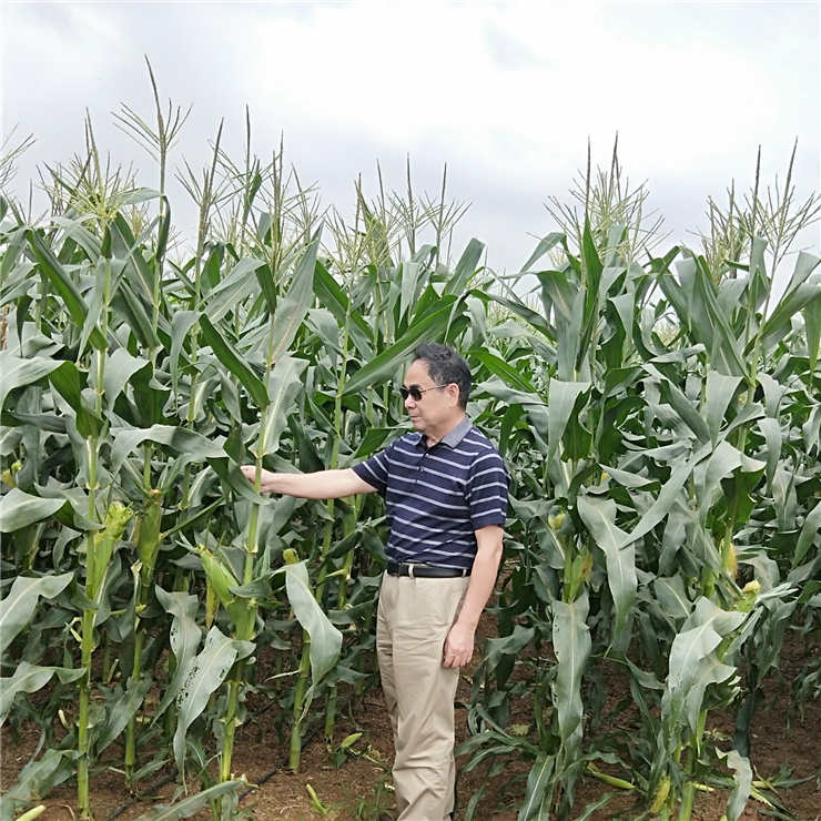 首页|尊龙人生就是博官网入口