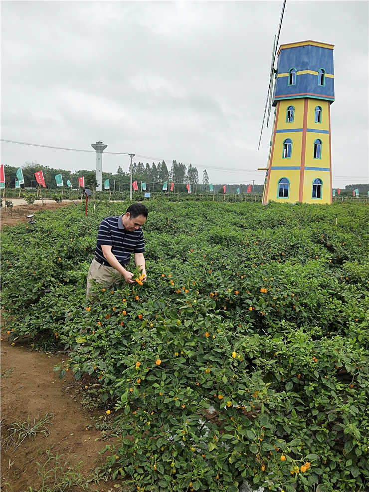 首页|尊龙人生就是博官网入口