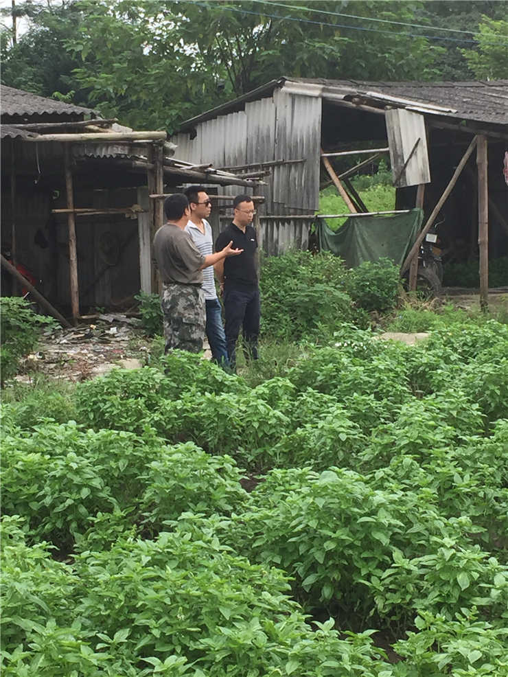 首页|尊龙人生就是博官网入口