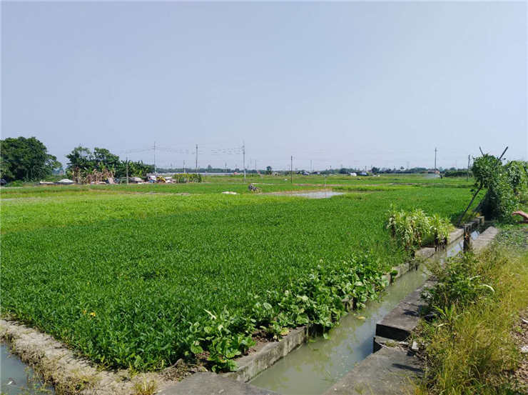 首页|尊龙人生就是博官网入口