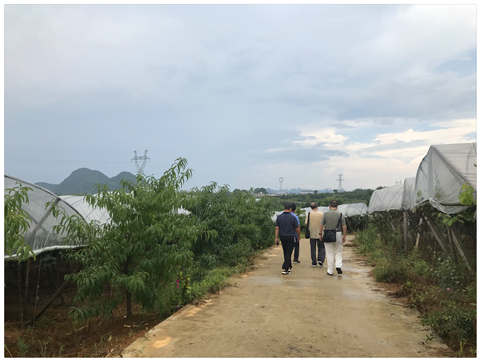 首页|尊龙人生就是博官网入口