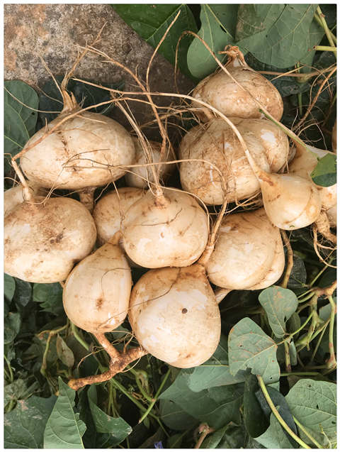 首页|尊龙人生就是博官网入口