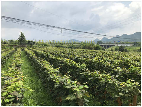 首页|尊龙人生就是博官网入口