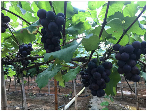 首页|尊龙人生就是博官网入口