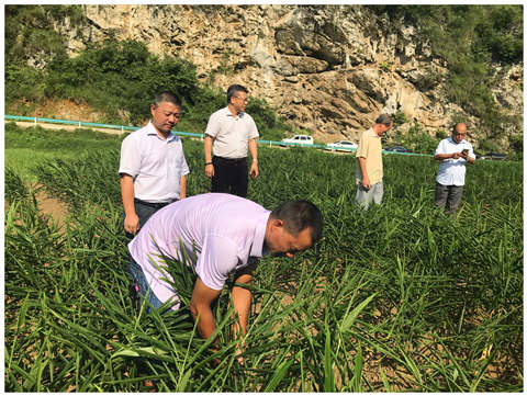 首页|尊龙人生就是博官网入口