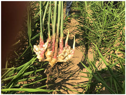 首页|尊龙人生就是博官网入口