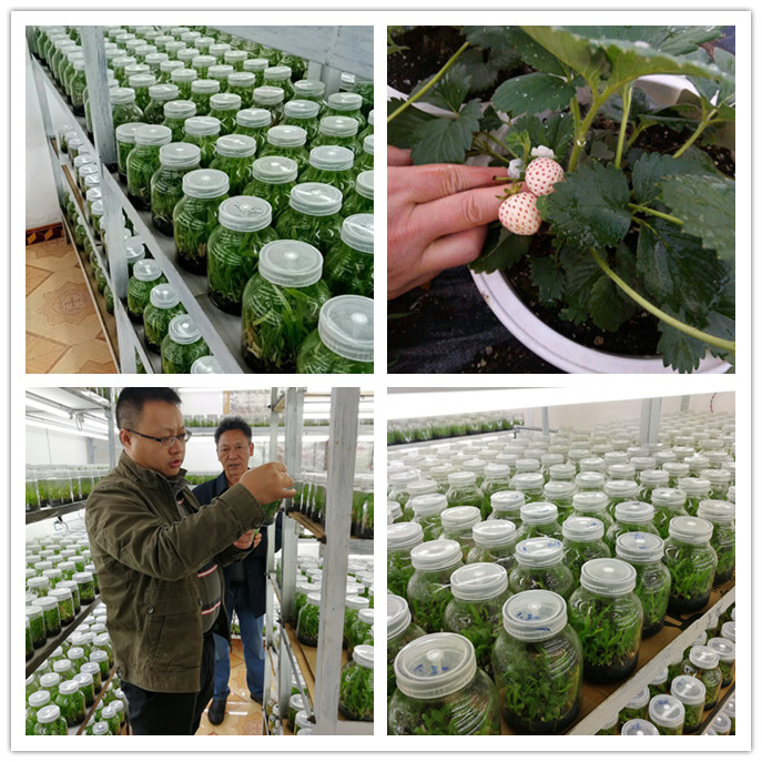 首页|尊龙人生就是博官网入口