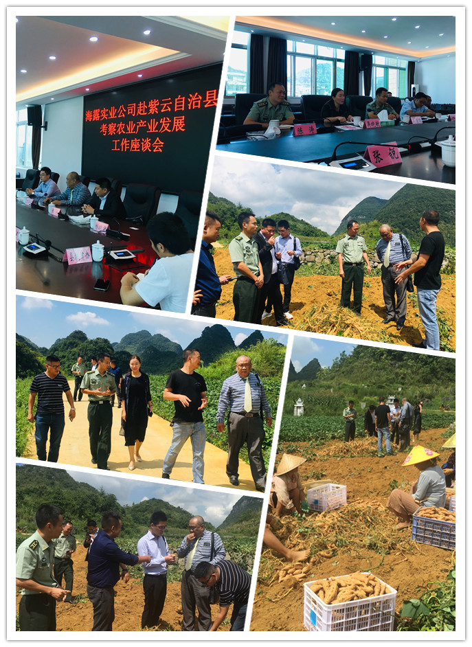 首页|尊龙人生就是博官网入口