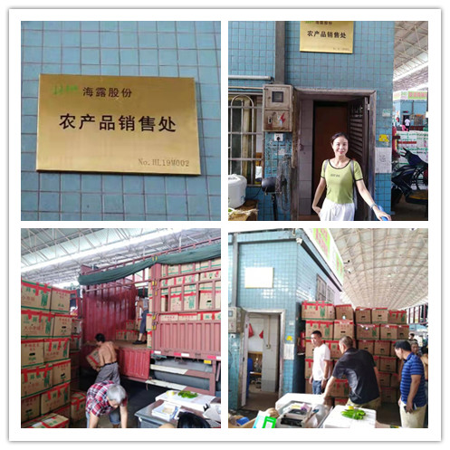 首页|尊龙人生就是博官网入口