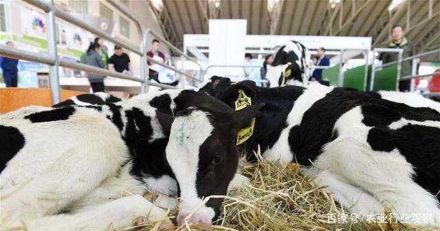 首页|尊龙人生就是博官网入口