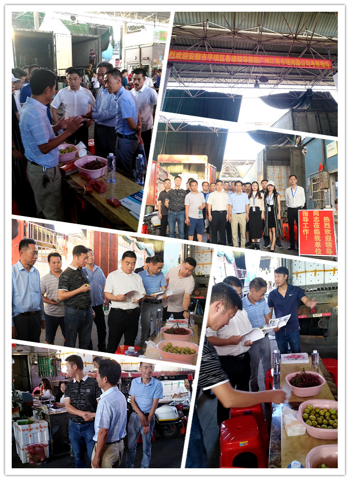 首页|尊龙人生就是博官网入口