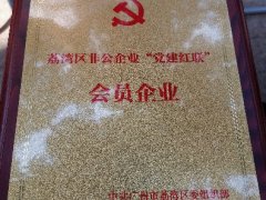尊龙人生就是博首页实业党支部入选首批荔湾区“党建红联”会员企业