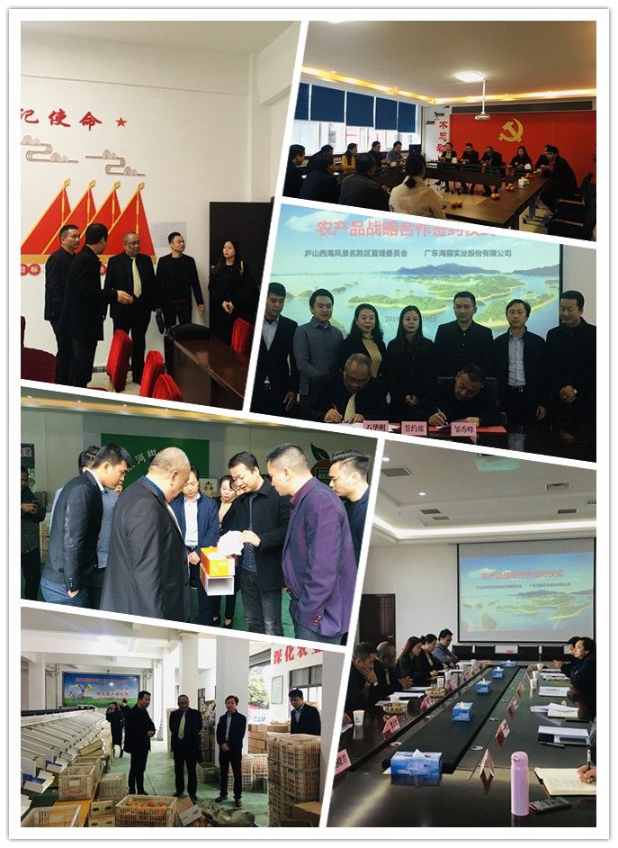 首页|尊龙人生就是博官网入口