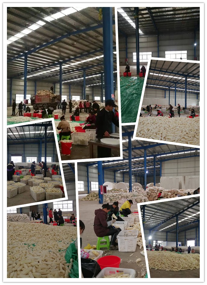 首页|尊龙人生就是博官网入口