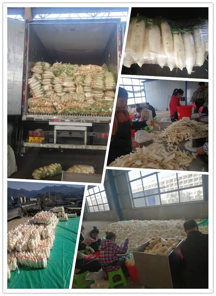 首页|尊龙人生就是博官网入口