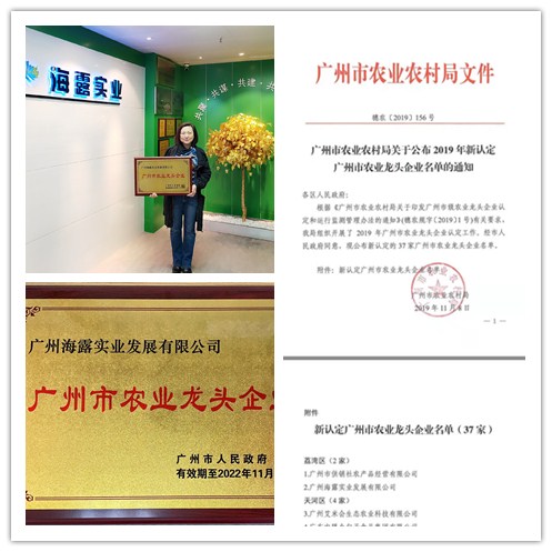 首页|尊龙人生就是博官网入口