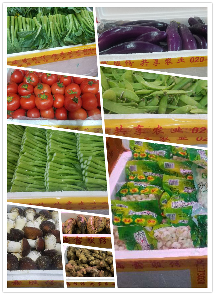 首页|尊龙人生就是博官网入口