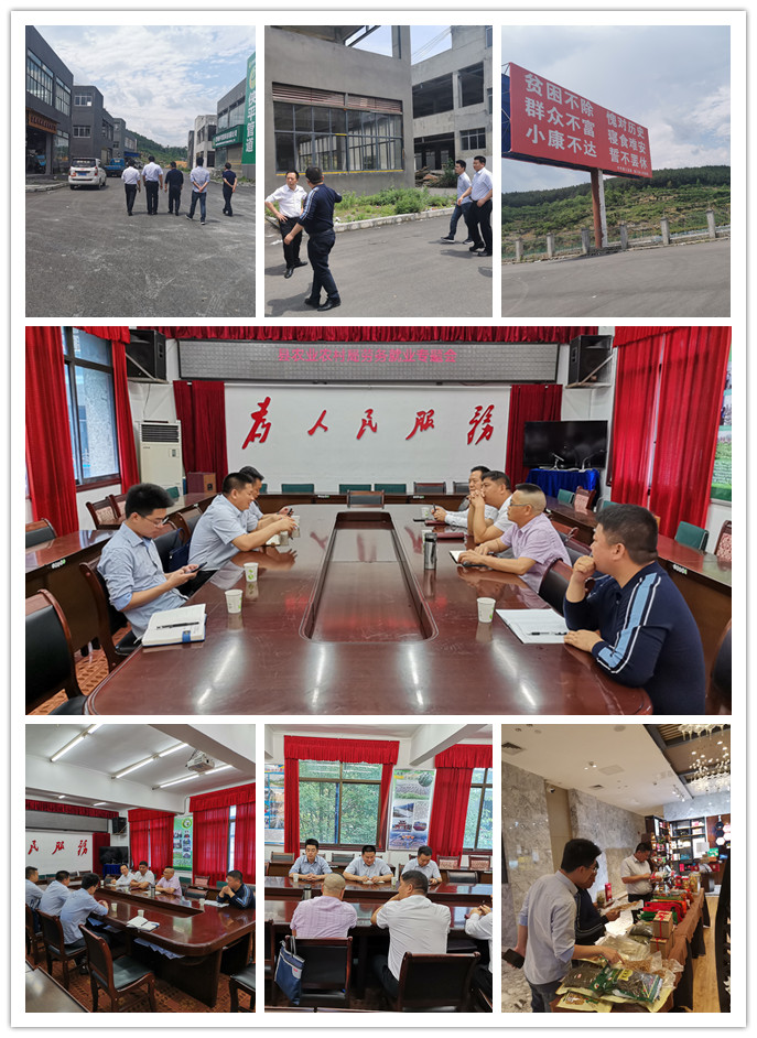 首页|尊龙人生就是博官网入口