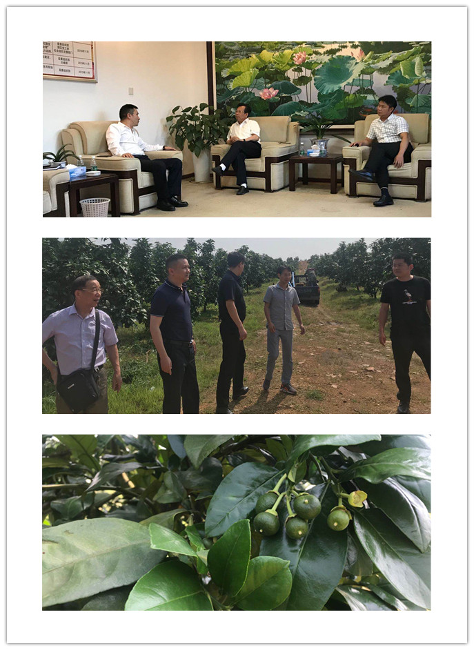 首页|尊龙人生就是博官网入口