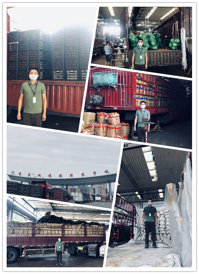 首页|尊龙人生就是博官网入口