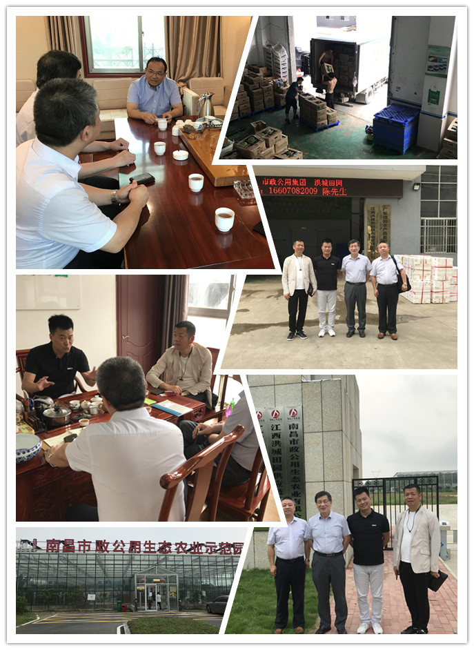 首页|尊龙人生就是博官网入口