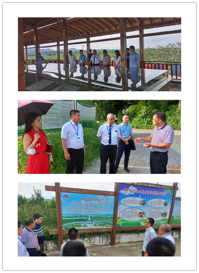 首页|尊龙人生就是博官网入口