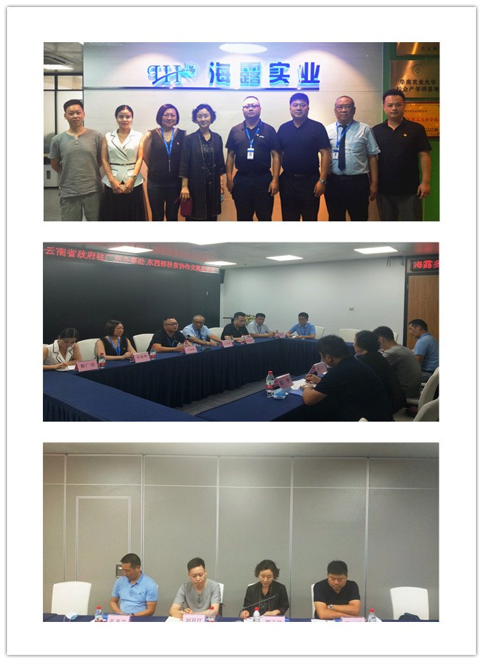 首页|尊龙人生就是博官网入口