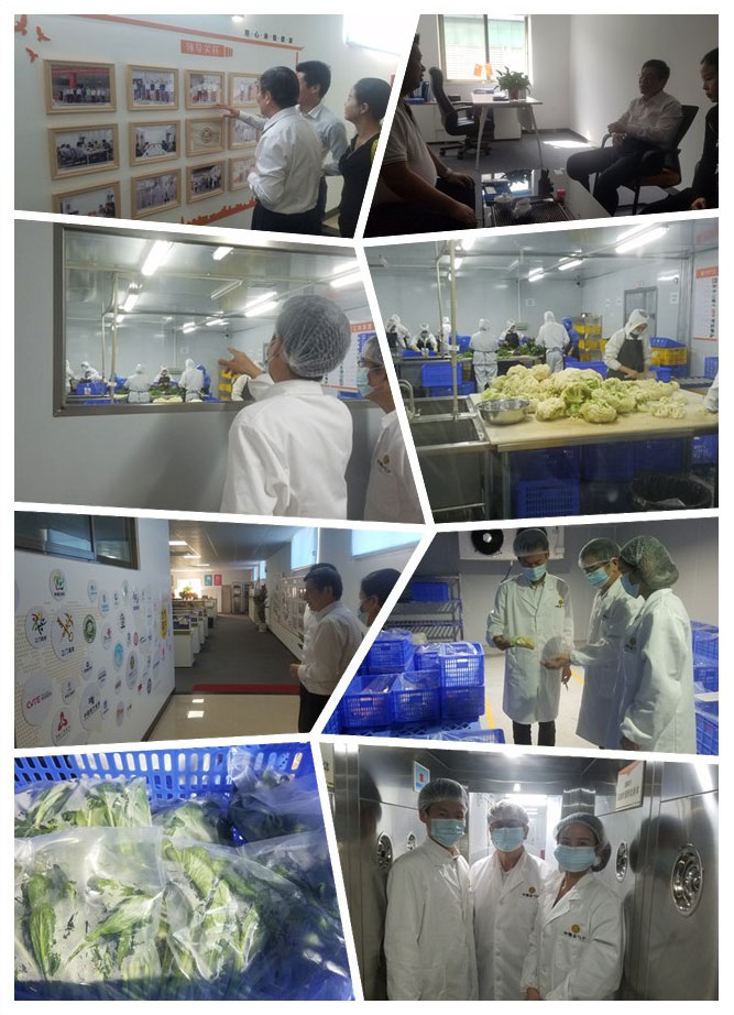 首页|尊龙人生就是博官网入口